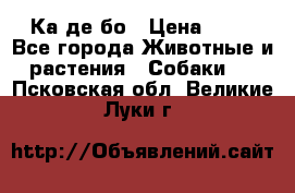 Ка де бо › Цена ­ 25 - Все города Животные и растения » Собаки   . Псковская обл.,Великие Луки г.